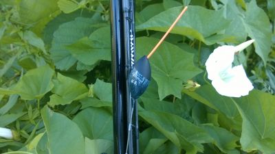 normal_WP_20150720_010.jpg