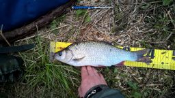 thumb_Jaz_2_20150517_07_35.jpg