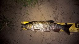 thumb_Klen_1_20150722_21_29.jpg