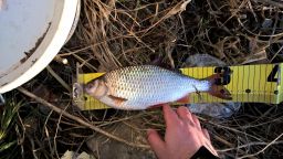 thumb_Ploc_1_20151206_08_17.jpg