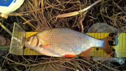 thumb_Ploc_2_20151206_08_32.jpg