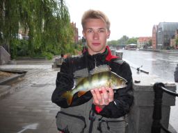 thumb_lato_2015_005.jpg
