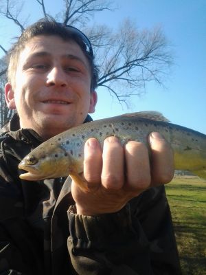 normal_haczyk_2_28129.jpg