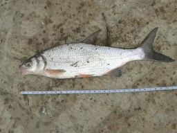 thumb_20140812_182047.jpg