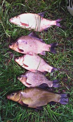 normal_IMG_20150510_152638.jpg