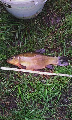 normal_IMG_20150510_152901.jpg
