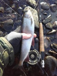 thumb_20151213_142406.jpg