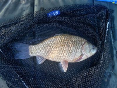 normal_02_karas_45.jpg