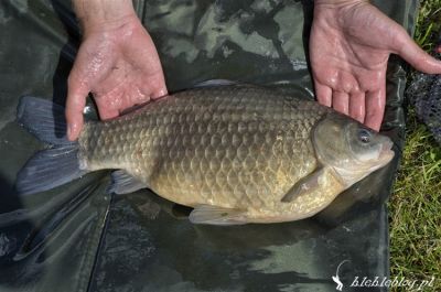 normal_misja_karp_14.jpg