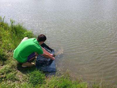 normal_20140728_122947.jpg