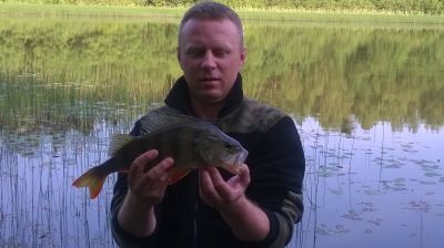 normal_WP_20140706_08_03_51_Pro_28Kopiowanie29.jpg