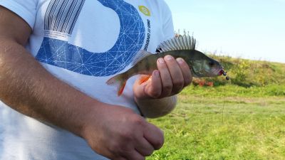 normal_20141009_144309_19.jpg