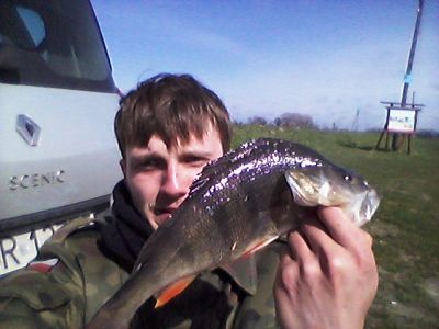 normal_20150419_141435.jpg