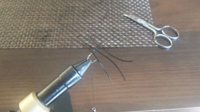 normal_20150927_141710.jpg