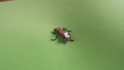normal_20150927_145959.jpg