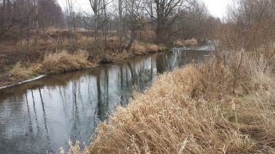 normal_20160101_105811.jpg