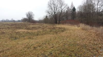 normal_20160101_120049.jpg