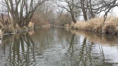 normal_20160101_125119.jpg
