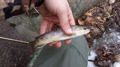normal_20160101_145046.jpg
