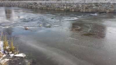normal_20160103_104402.jpg