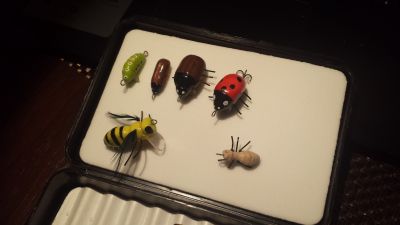 normal_20160130_172720.jpg