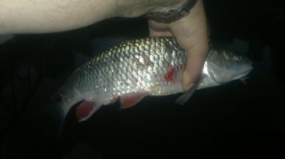normal_01072015069.jpg