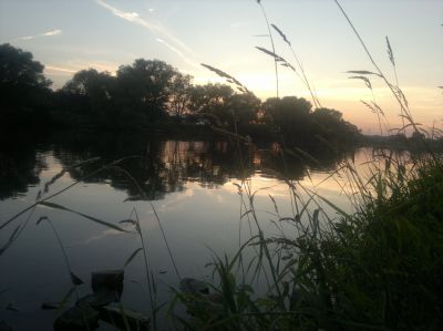 normal_04072015097.jpg