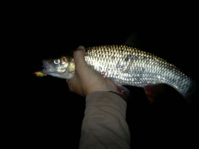 normal_17072015288.jpg