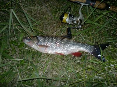 normal_17072015289.jpg