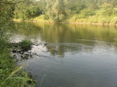 normal_25072015363.jpg