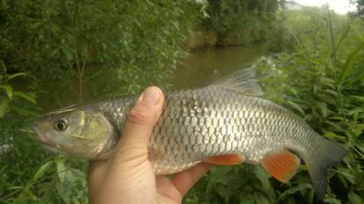 normal_27062015025.jpg