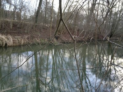 normal_310120161552.jpg