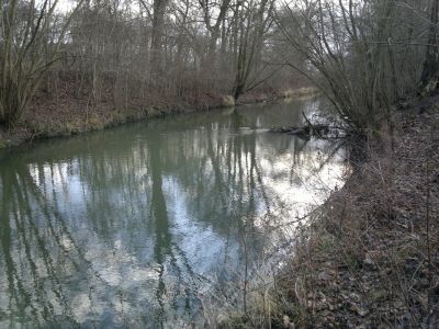 normal_310120161553.jpg