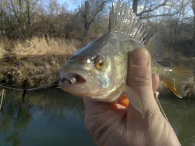 normal_310120161558.jpg
