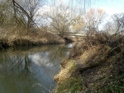 normal_310120161563.jpg