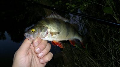 normal_31072015484.jpg