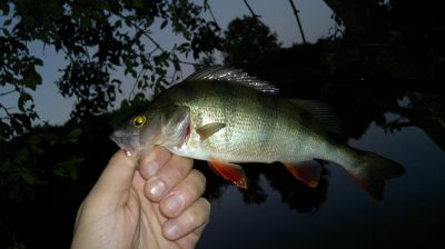 normal_31072015485.jpg