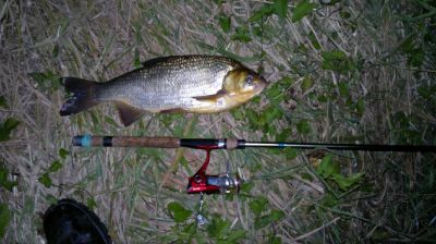 normal_31072015486.jpg