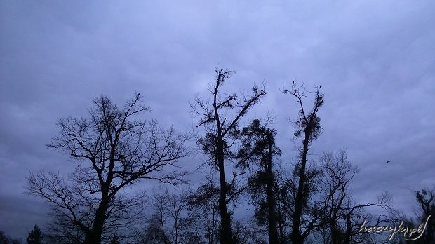 DSC_0026.JPG