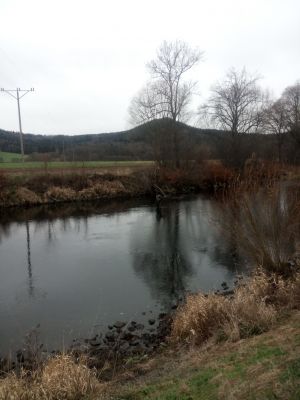normal_IMG_20151129_104845.jpg