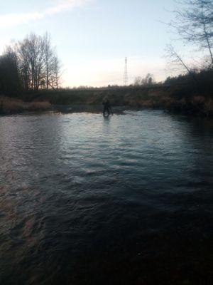 normal_IMG_20151231_084205.jpg