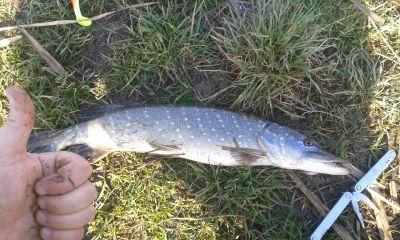 normal_20151219_110301.jpg