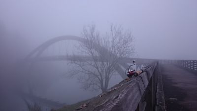 normal_DSC_0041-1.jpg