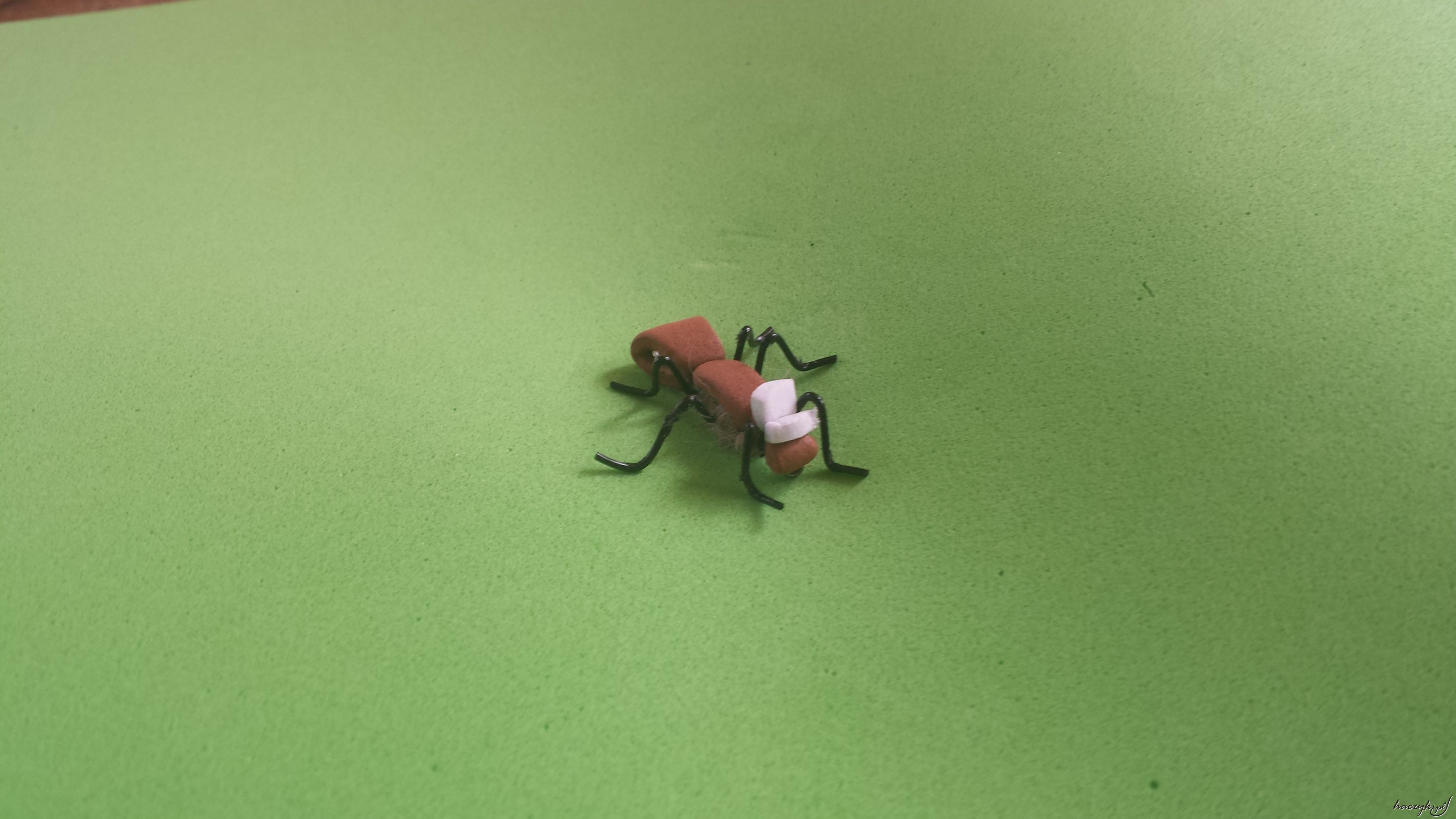 Mucha mrówka