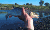 post-14647-14544973309614_thumb.gif
