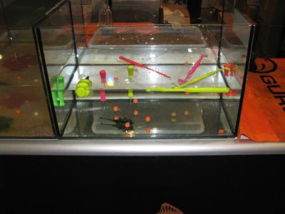 IMG_2374.thumb.JPG.aa6c9d6dfada5a828763e