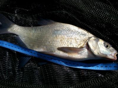 20160404_105601.jpg