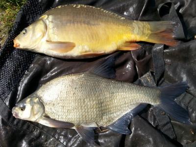 20160404_113806.jpg