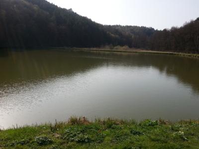 20160406_092707.jpg