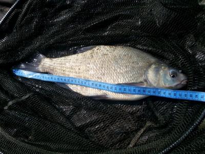 20160413_104537.jpg